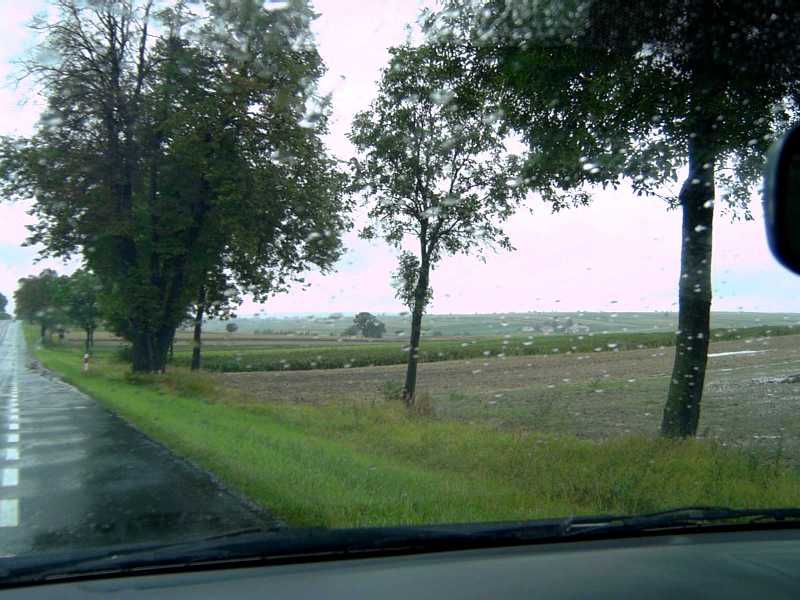 Polish countryside